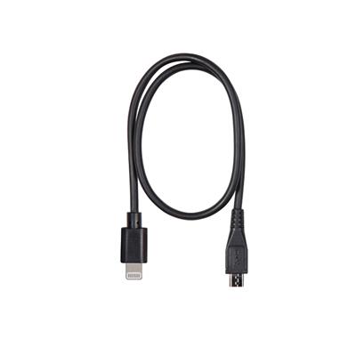 Shure general Shure amv-Ltg15 cable para micrófono de 38 cm para mv88+